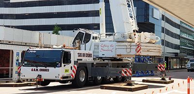 crane