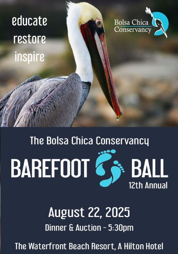 A poster for the bolsa chica conservancy barefoot ball