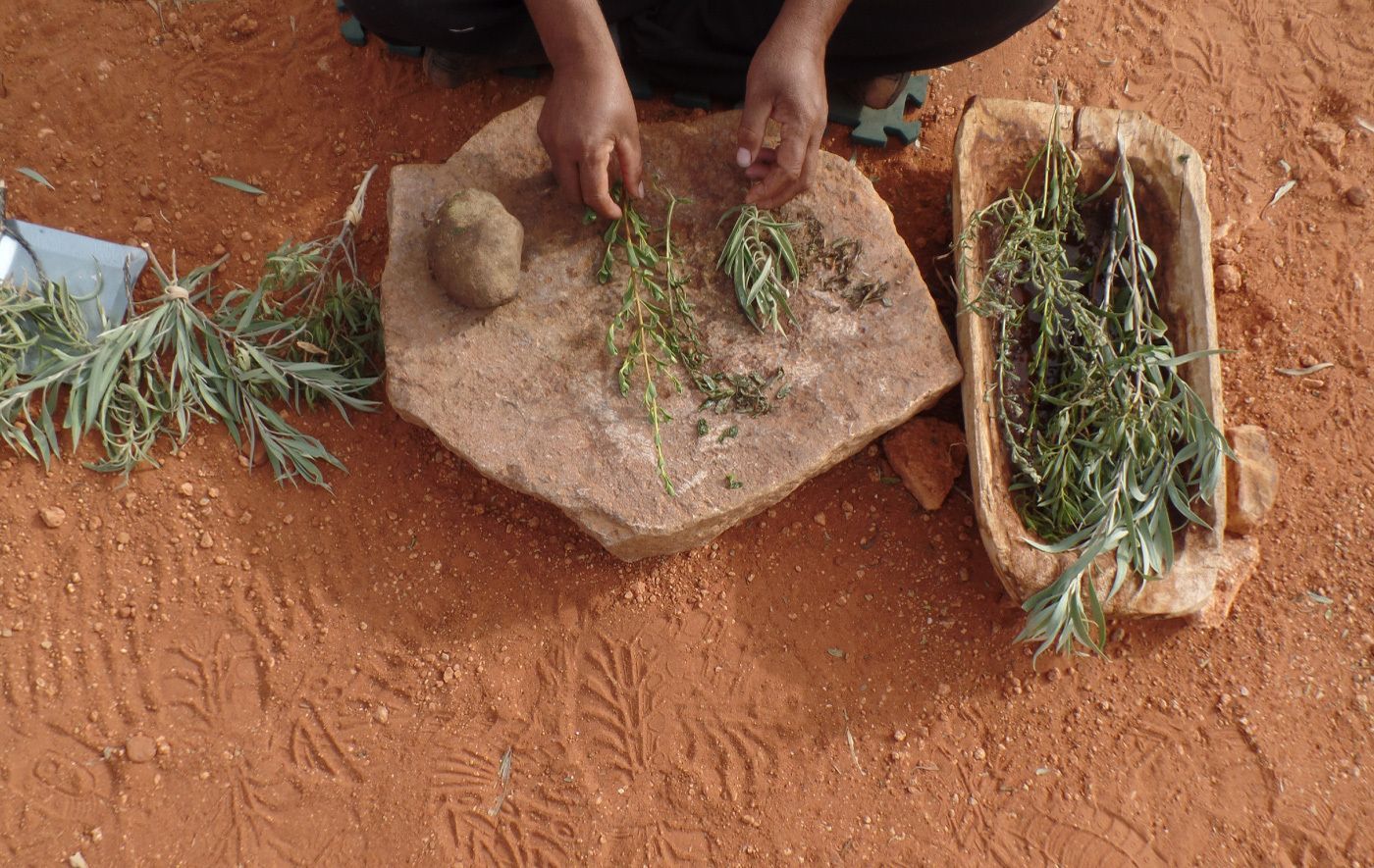 A person is grinding herbs on a rock in the dirt