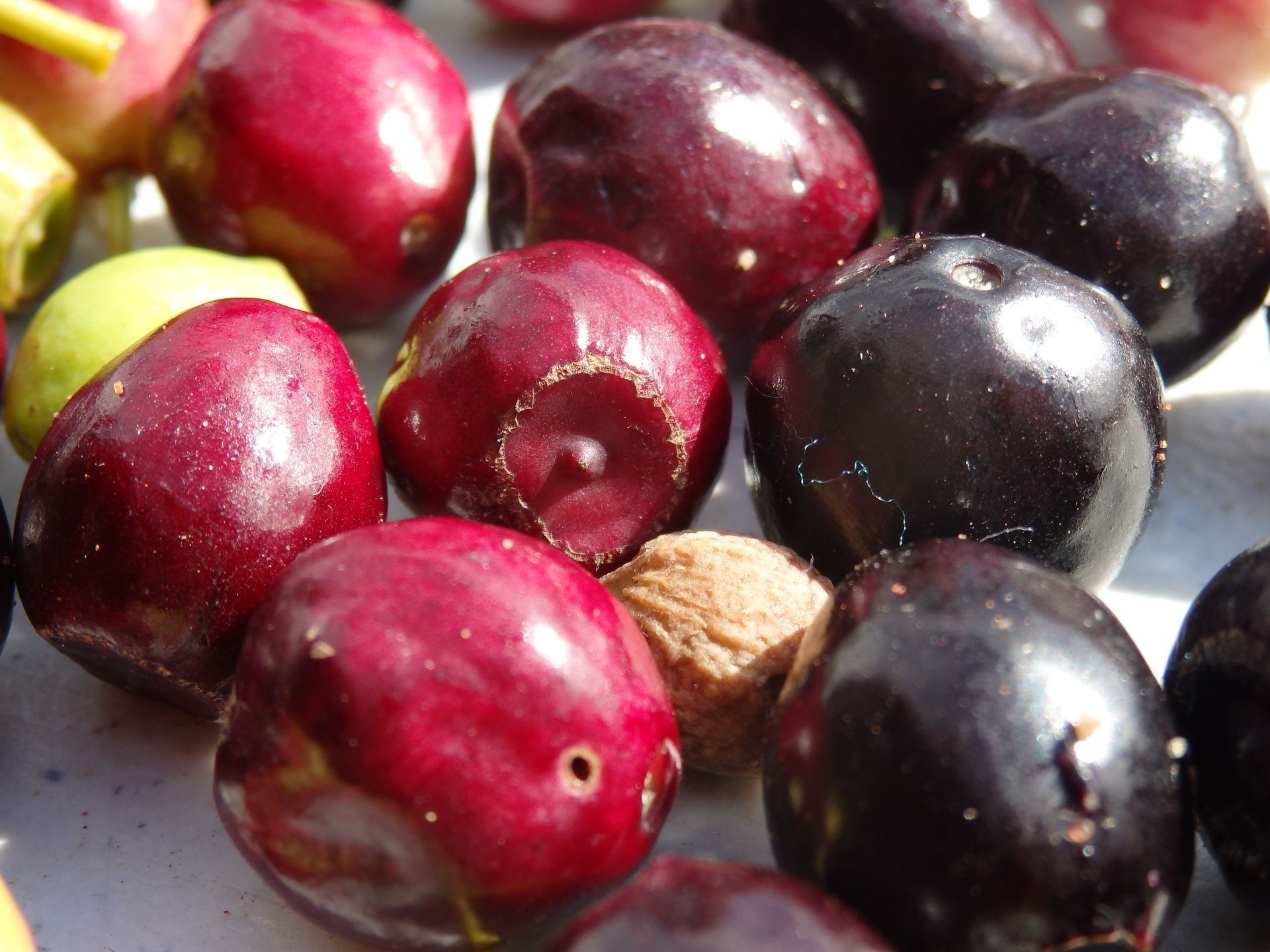 A bunch of cherries are sitting on a table