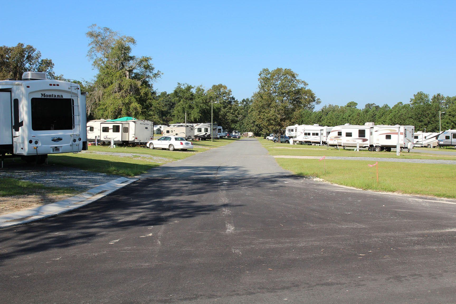 A row of rv 's are parked in a campground on a sunny day.
