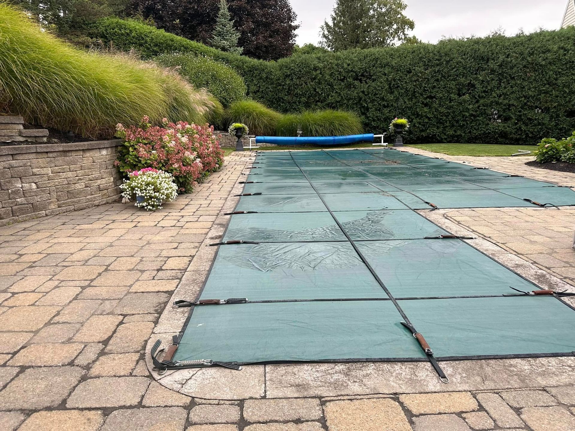 Pool covered in green tarp, surrounded by stone patio, landscaping, and a hedge.