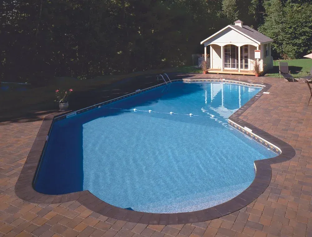 Swimming pool with blue water and surrounding stone patio, small wooden shed in the background.