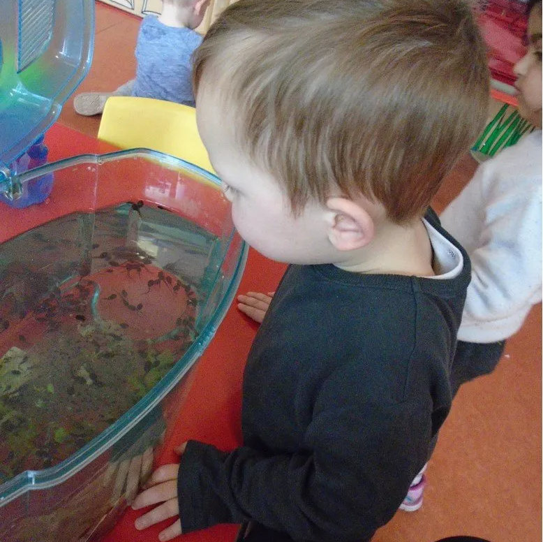 nursery activity example 18