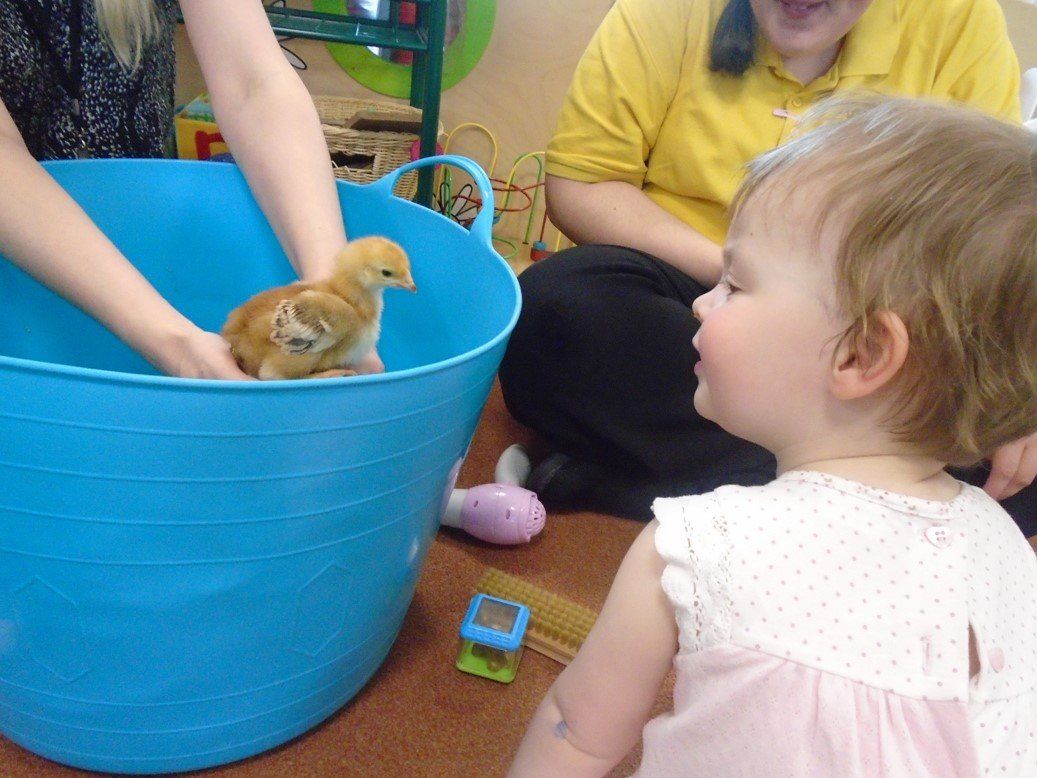 nursery activity example 22