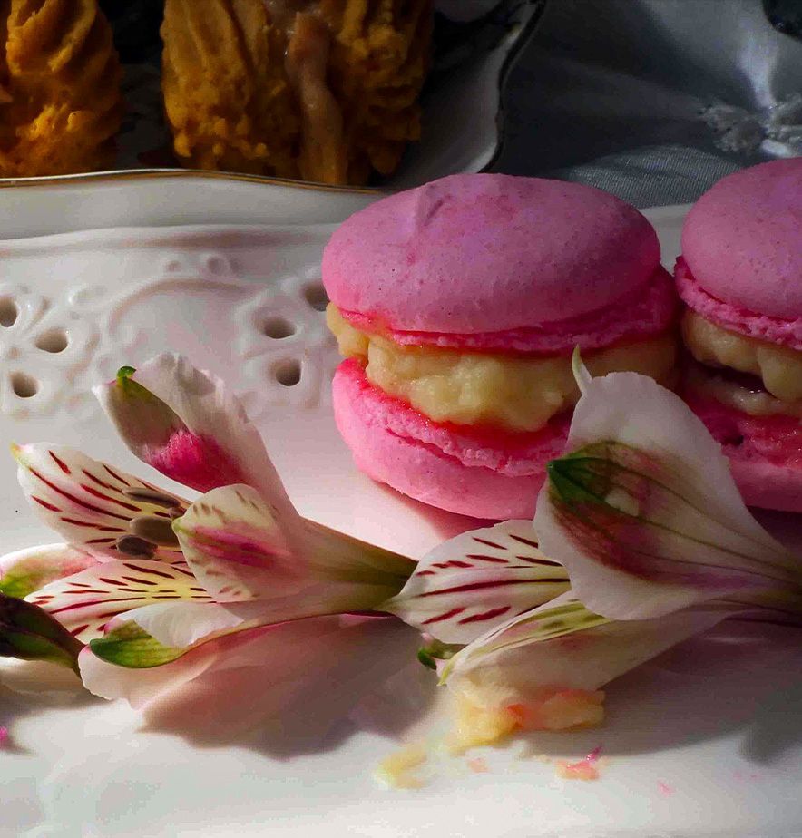 Pink Macarons 