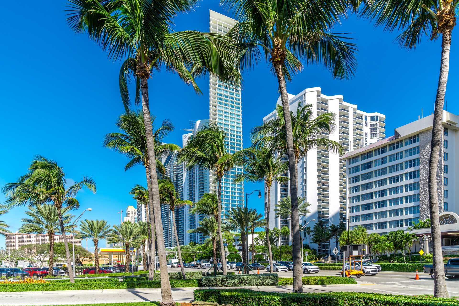 a row of tall buildings with palm trees in front of them