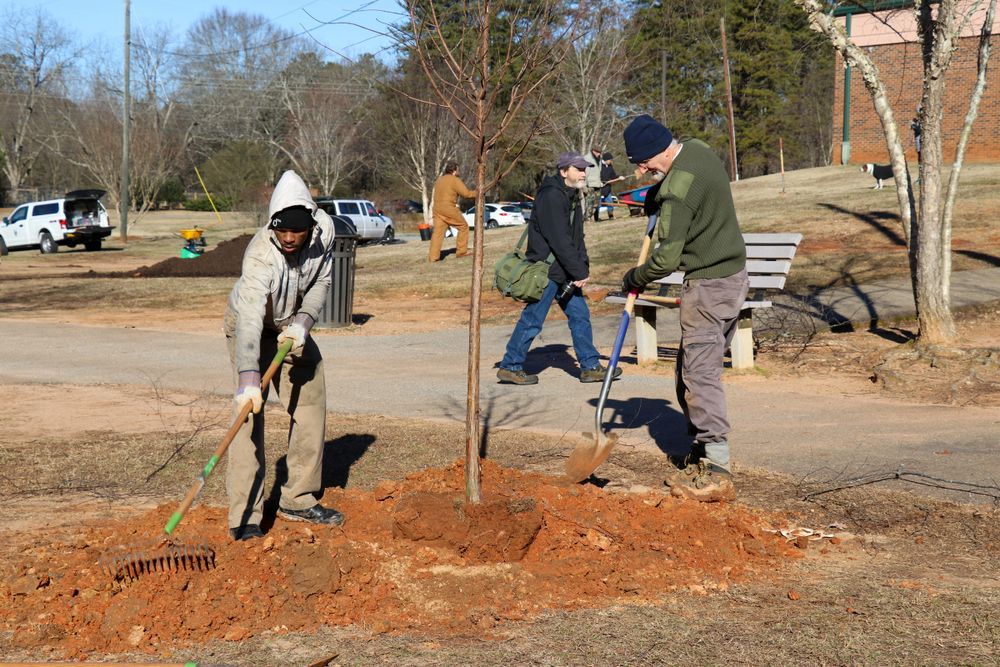 A group of people are planting a tree in a park.