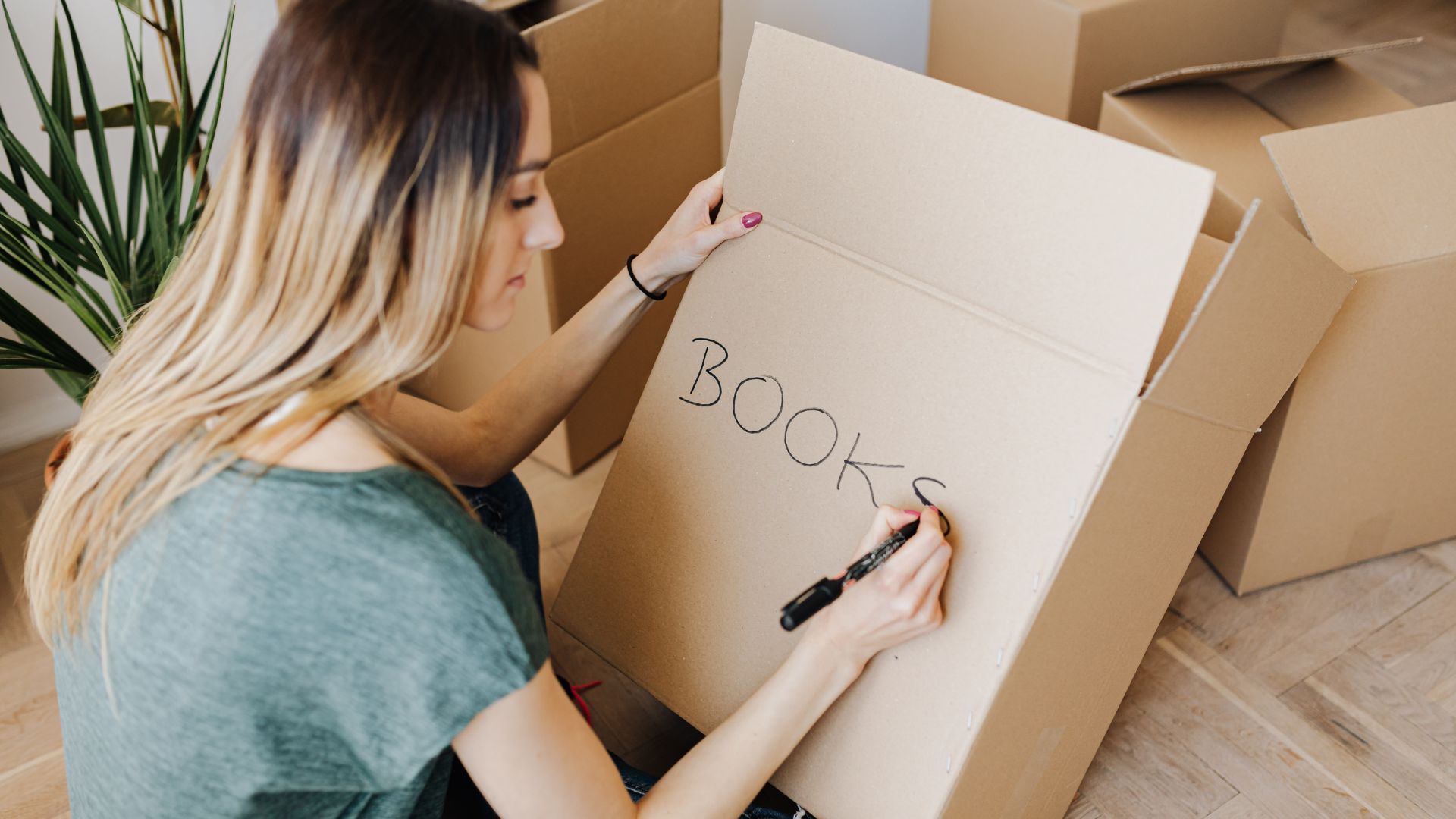 Trusted Round Rock movers – inNoutMovers team ready to help