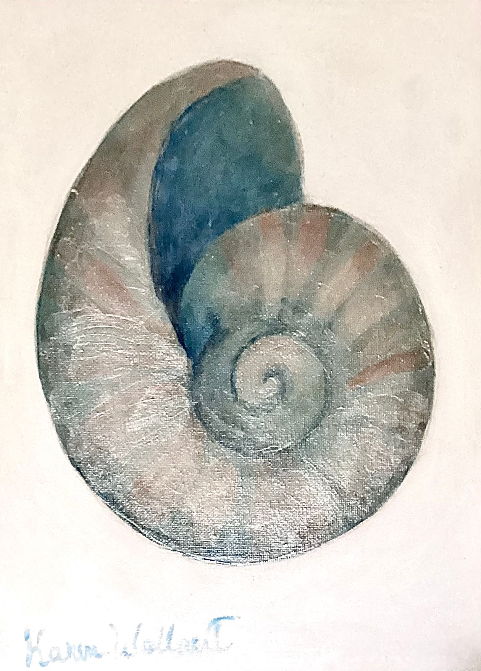 Watercolor painting of a nautilus shell, mostly grey with blue interior, on a white background.