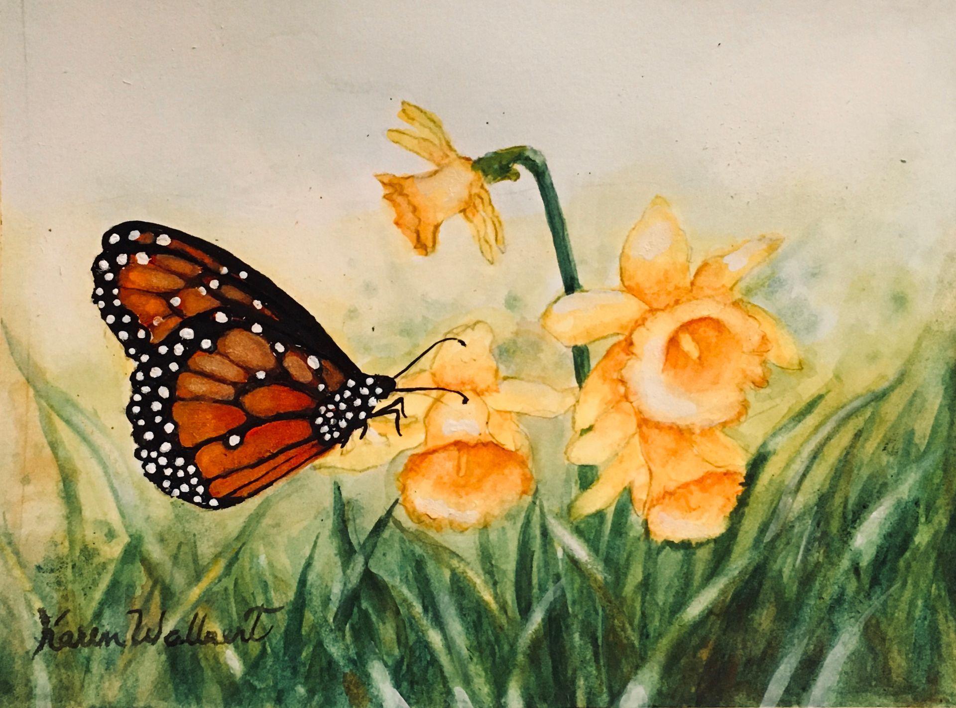 Monarch butterfly feeding on yellow daffodils in a grassy field; watercolor painting.
