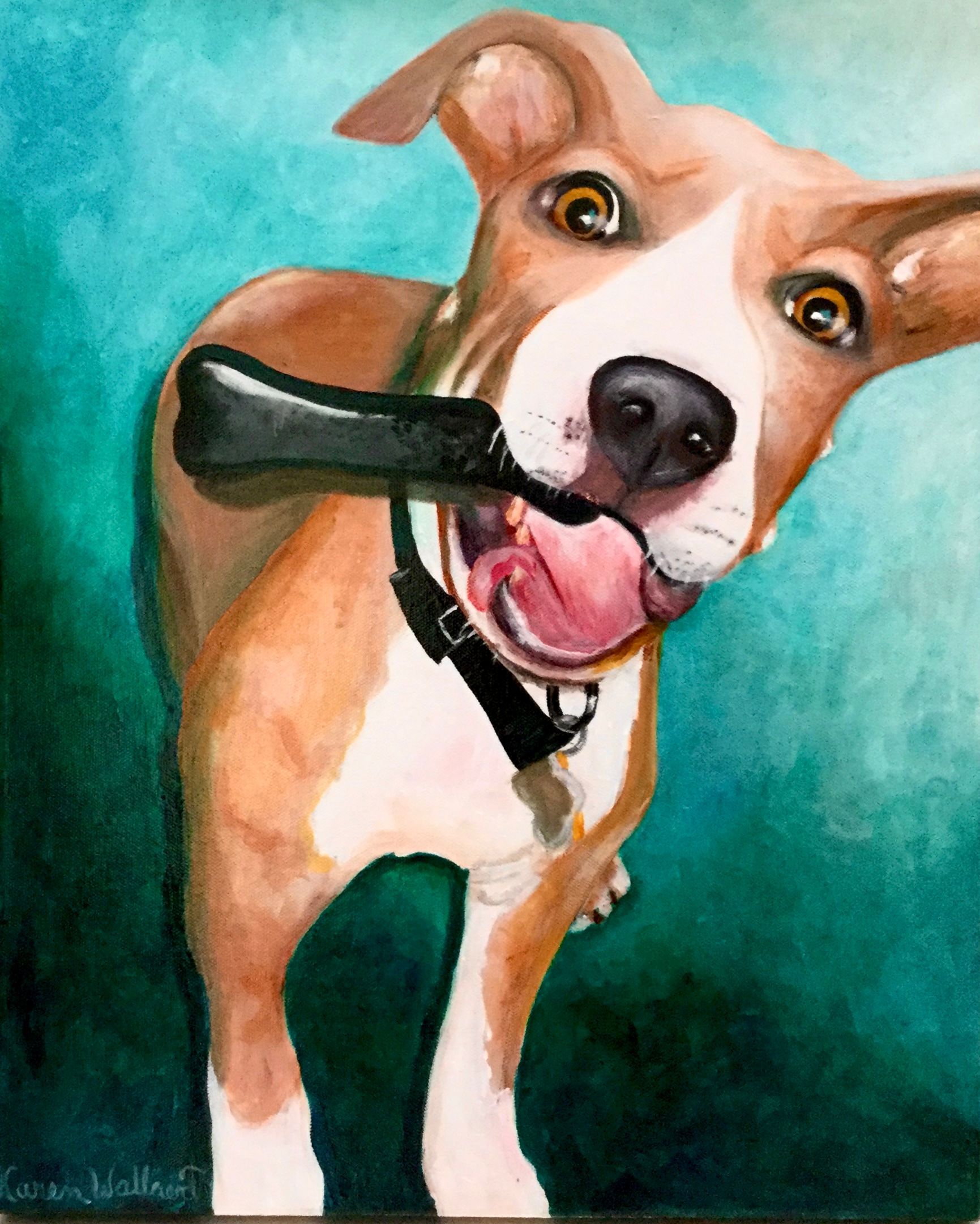 Dog with tan and white fur, holding a black object in its mouth, smiling against a teal background.