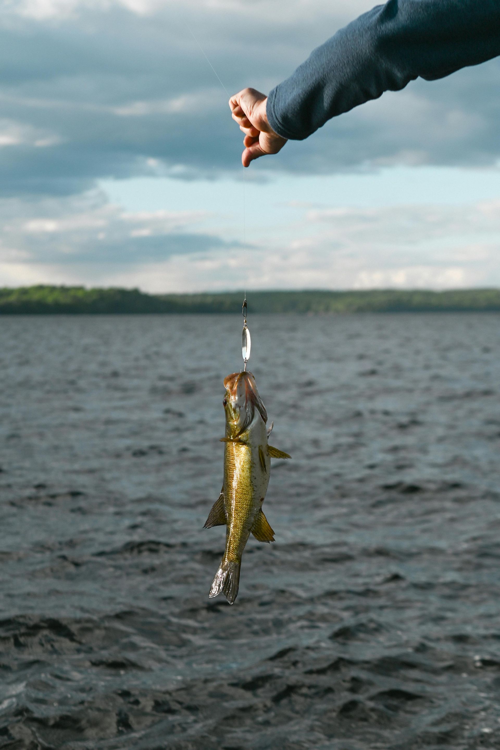 Hand holding a small fish above a lake under a cloudy sky
