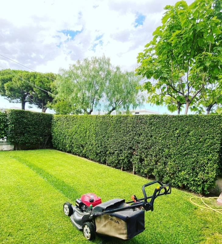 Allestimento aree verdi