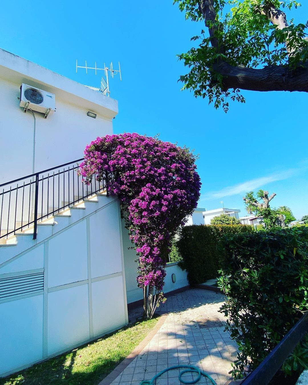 realizzazione giardini