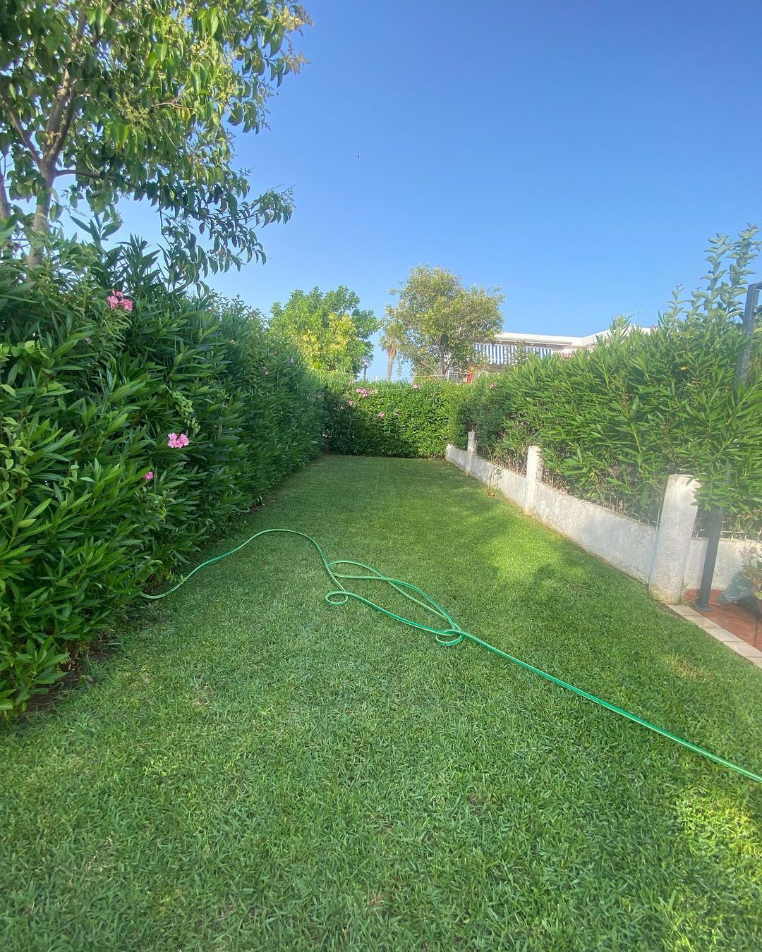 manutenzione aree verdi