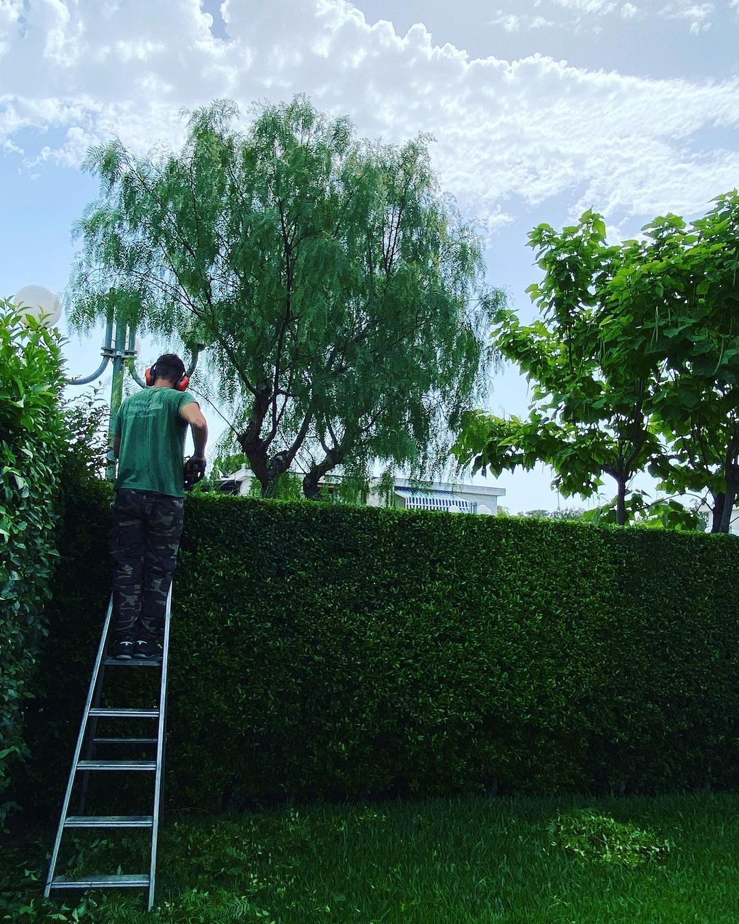 potatura siepi e alberi