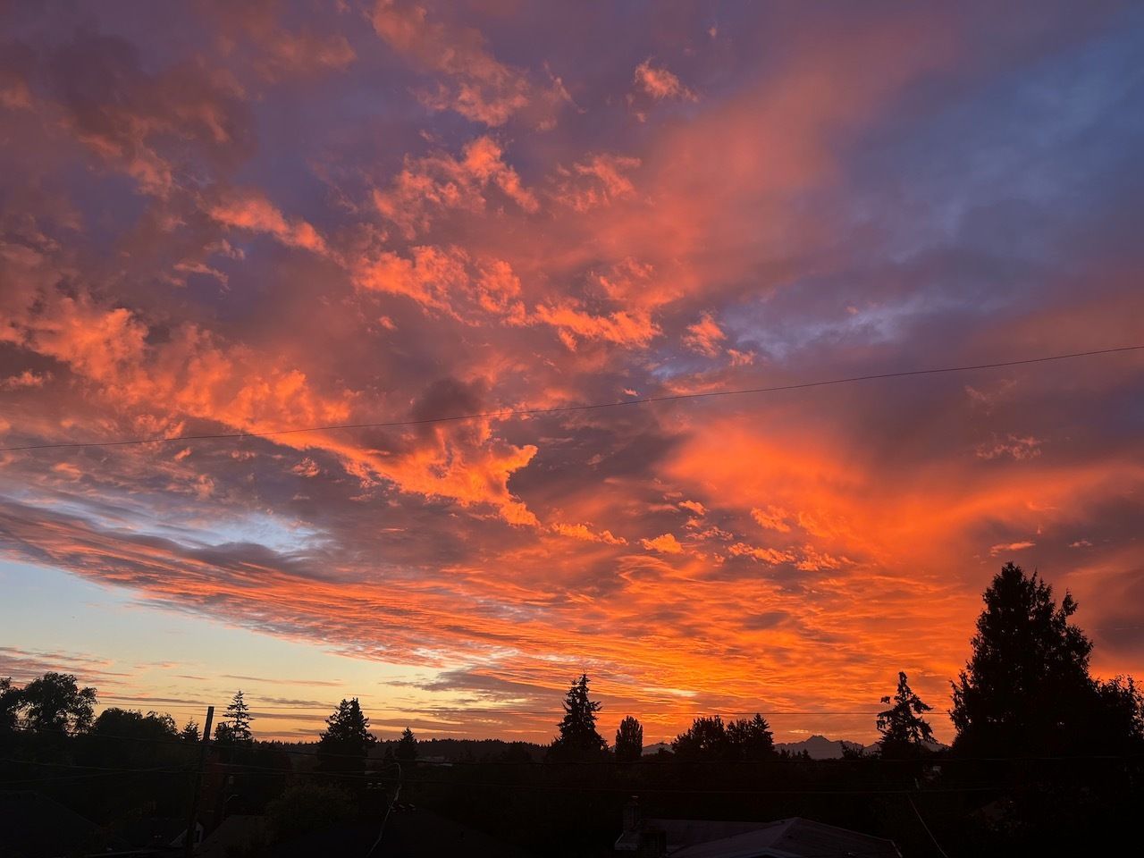 Beautiful photo of a red sunset with silhouettes of trees