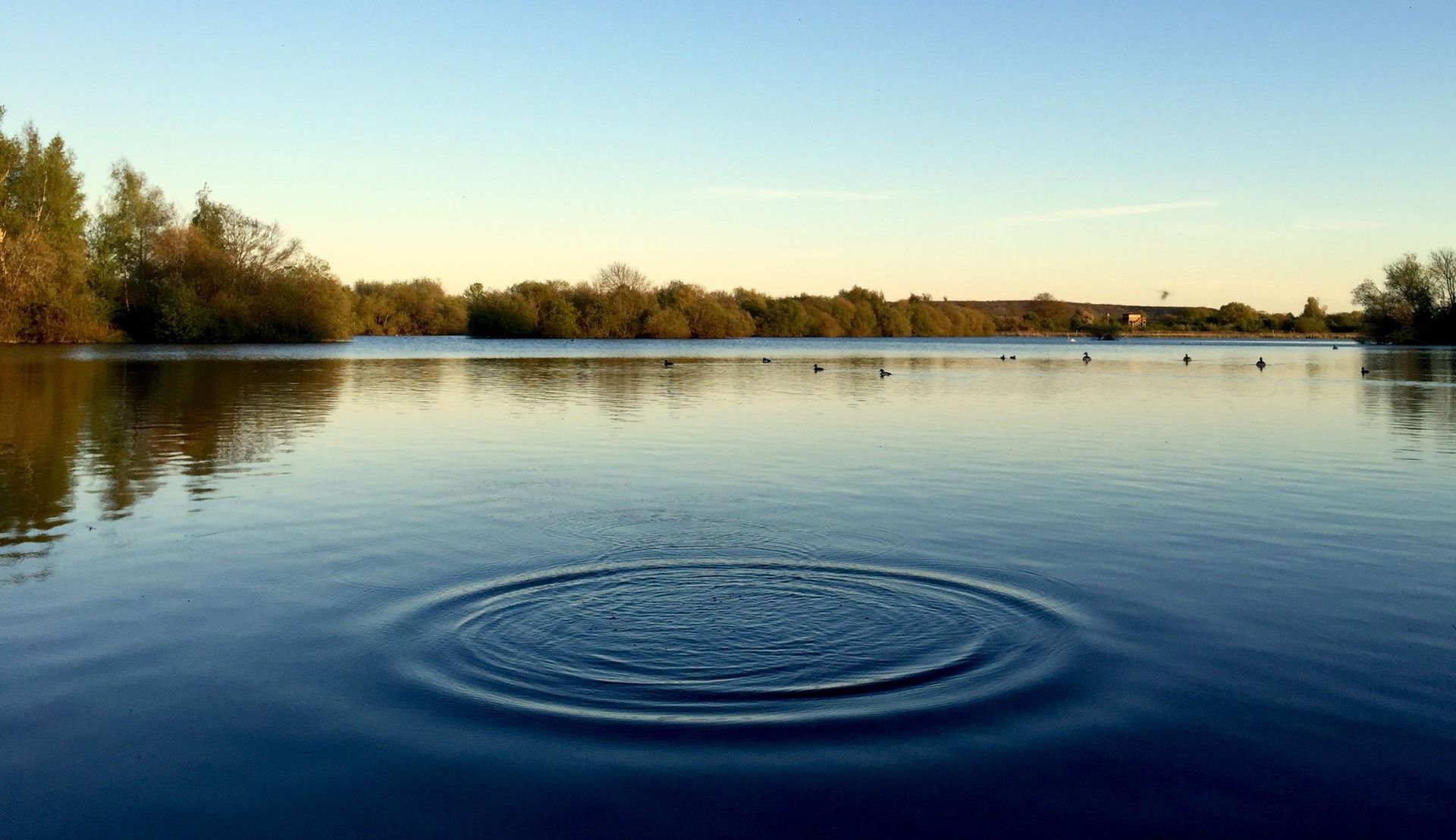 Calm water with ripples