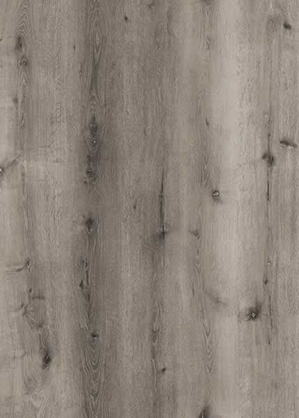 Gray-toned wood grain texture with knots and varying shades, suitable for flooring.