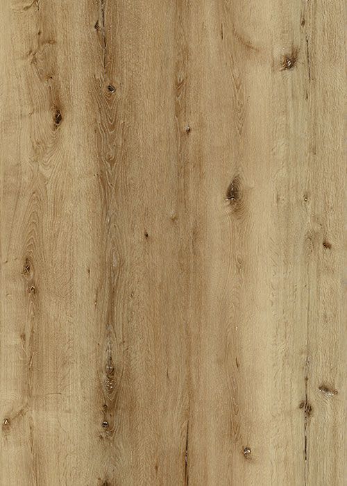 Close-up of light brown wood grain with knots, suitable for flooring or paneling.