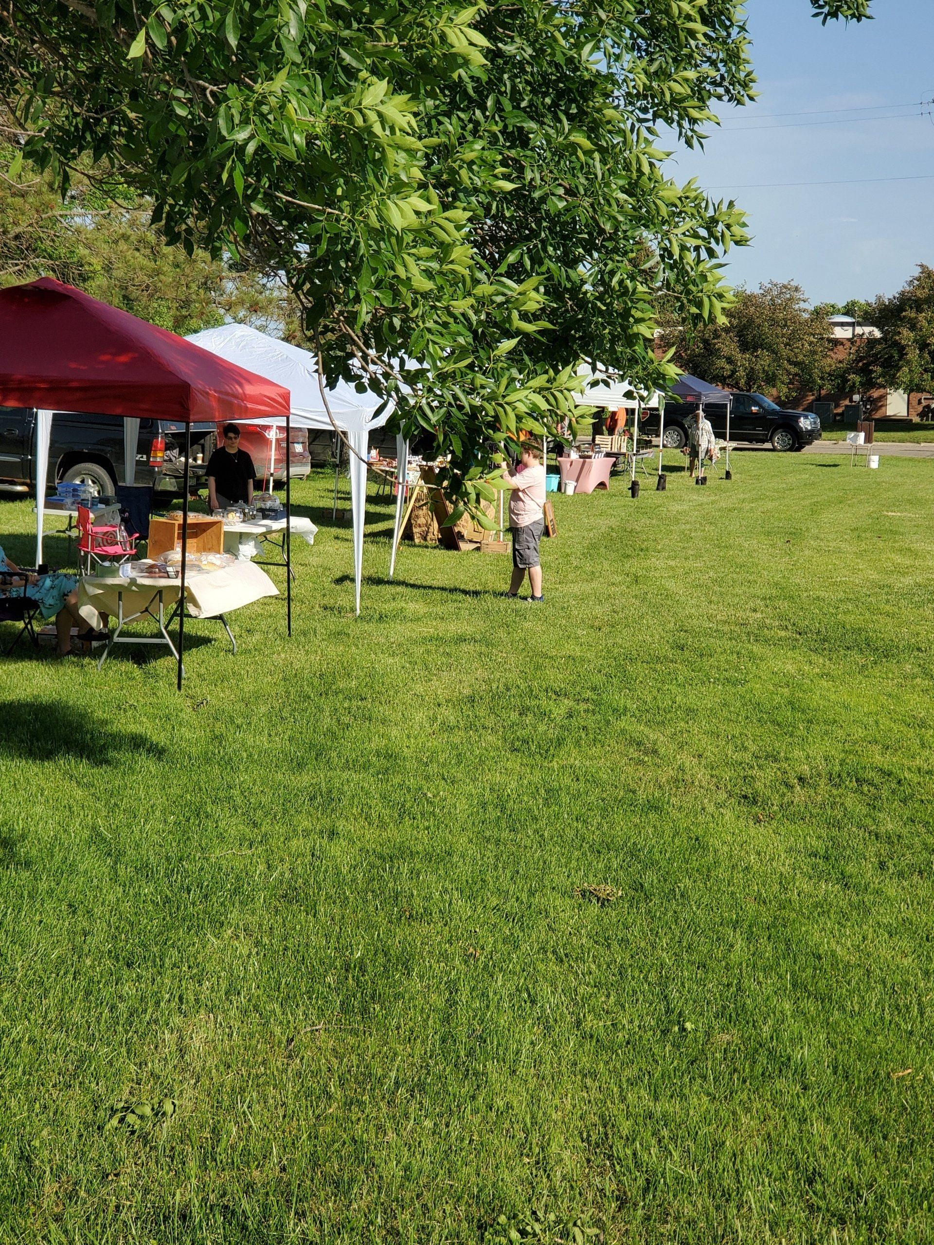 Pope County Farmers Market, Glenwood