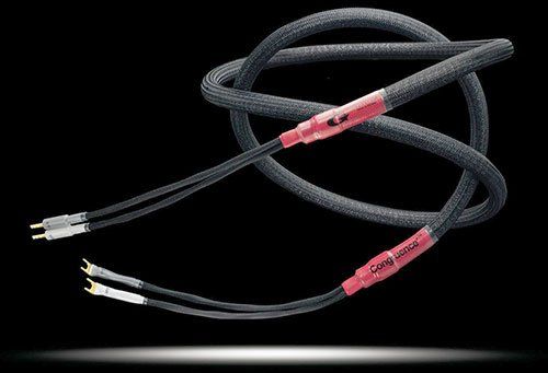 Congruence Cube speaker cable
