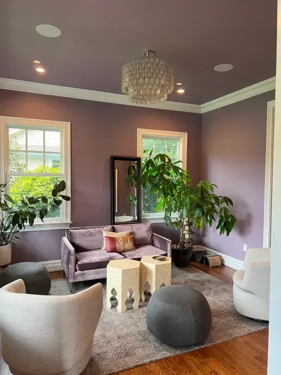 Purple living room with velvet sofa, white trim, and a large plant.