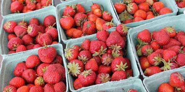 A bunch of baskets filled with strawberries are sitting on a table.