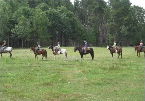 A group of people are riding horses in a grassy field.