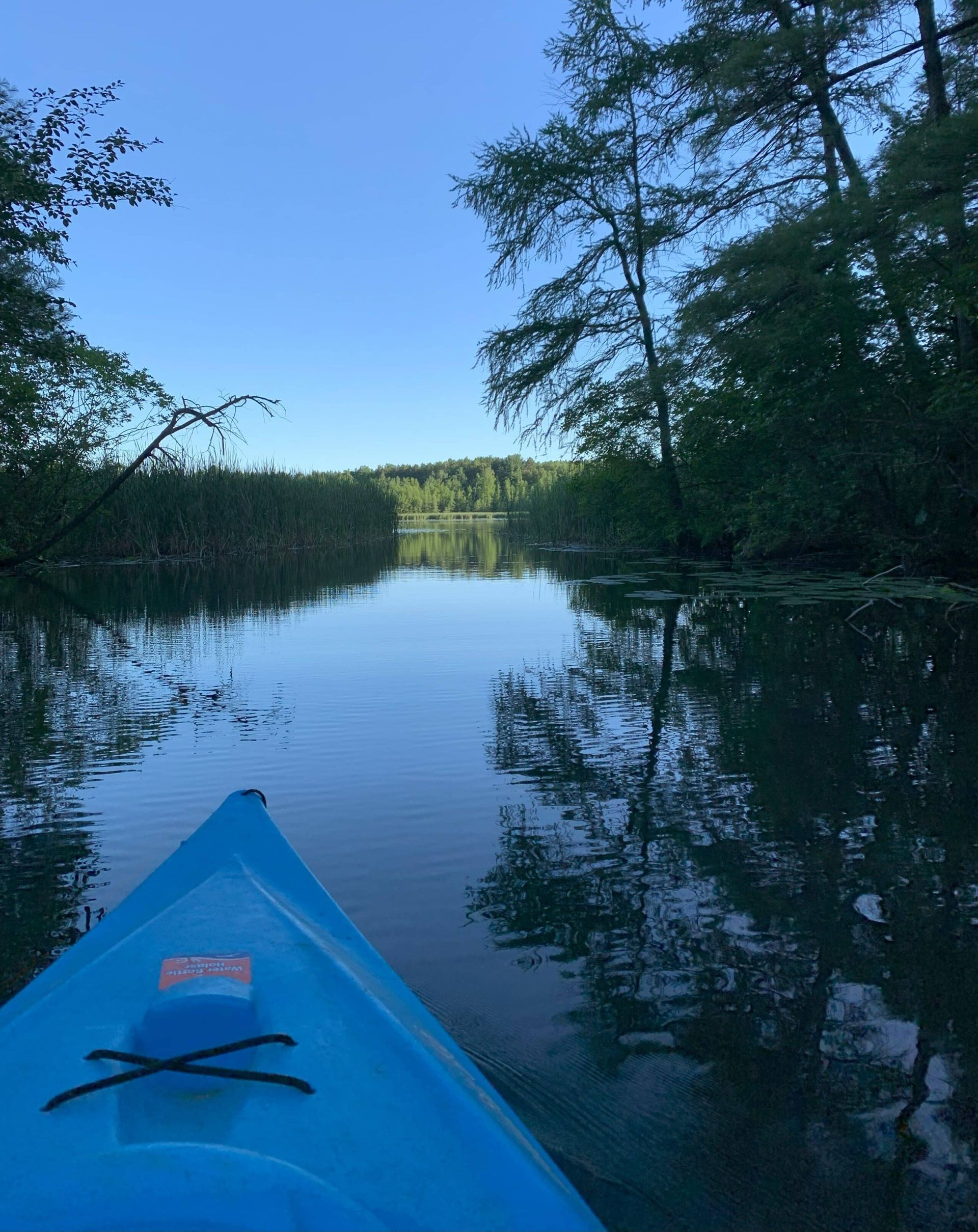 A blue kayak is floating down a river surrounded by trees