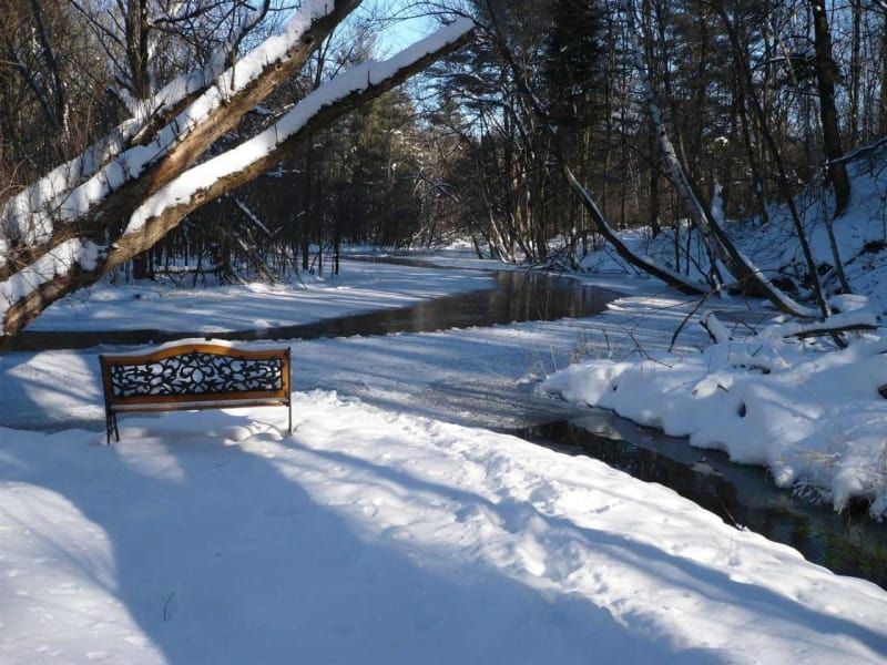 A bench is sitting in the snow near a stream