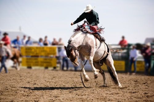 A man is riding a bucking horse in a rodeo.