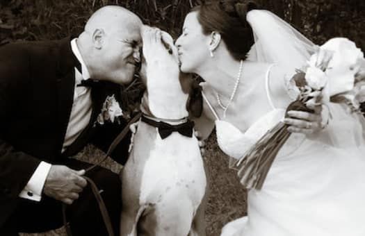 A bride and groom kissing their dog on the nose