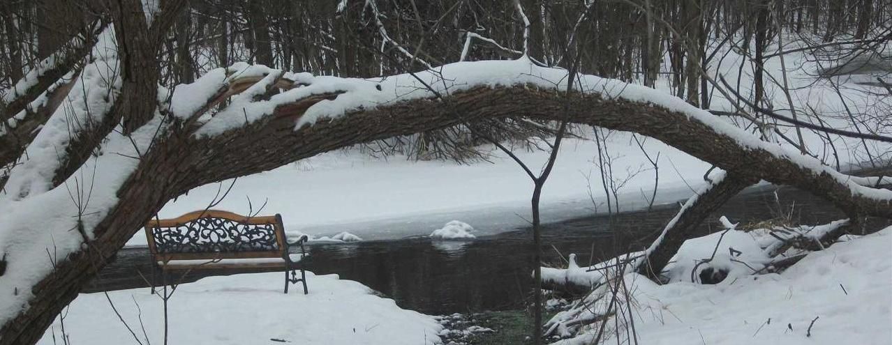 A snowy river with a bench in the foreground