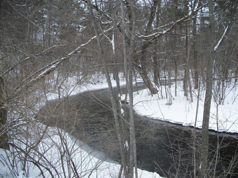 A river in the middle of a snowy forest