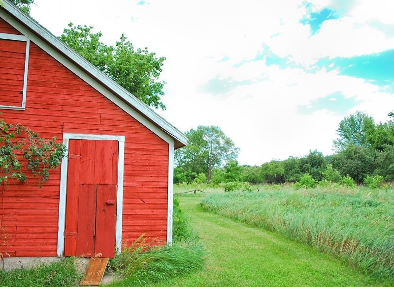 A red barn is sitting in the middle of a grassy field.