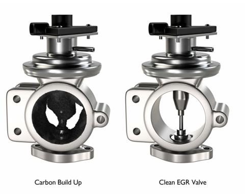 egr clean gold coast