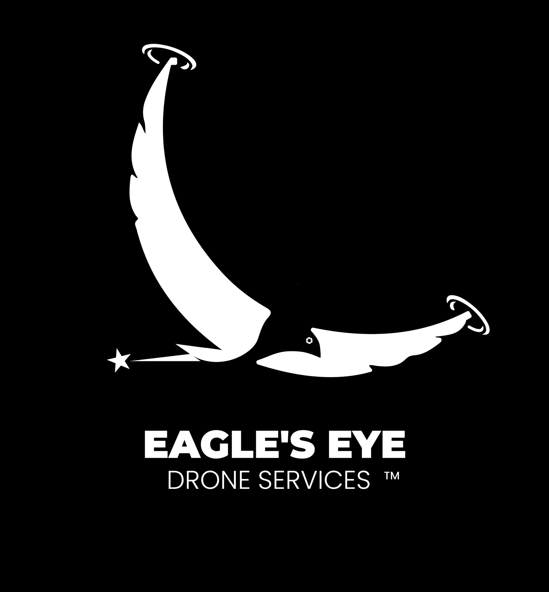 Eagle 's eye drone services logo on a black background