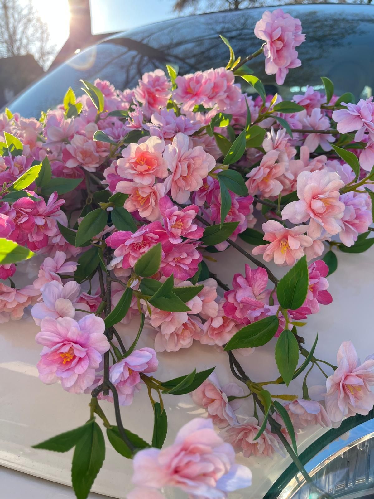 Bloesem takken peach