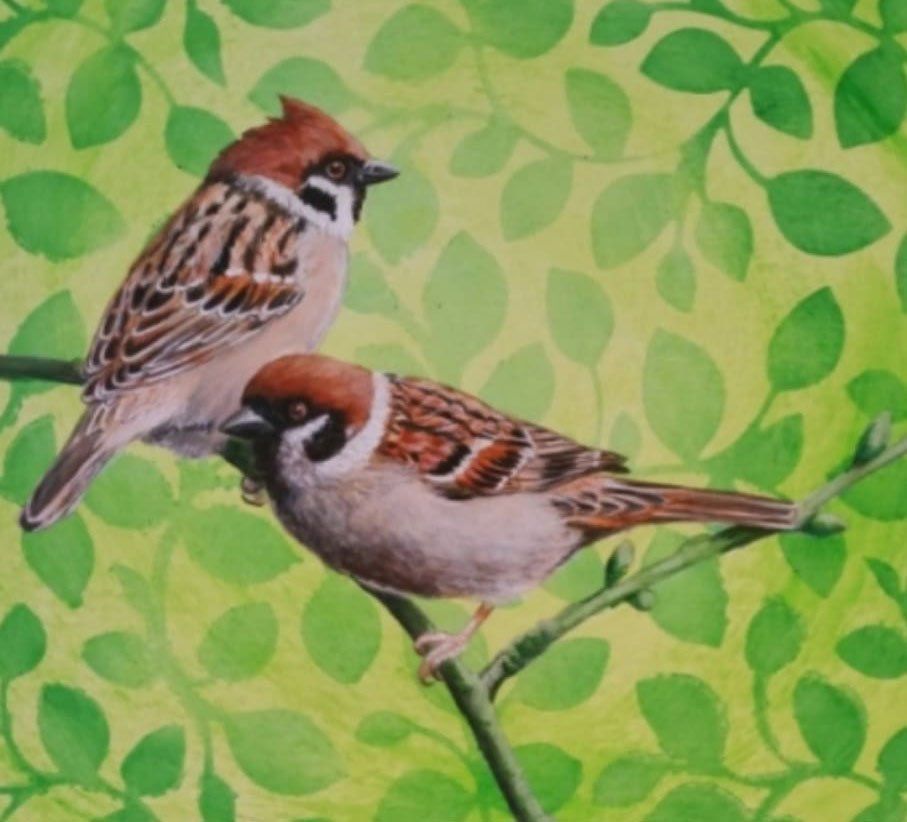 painting of two birds