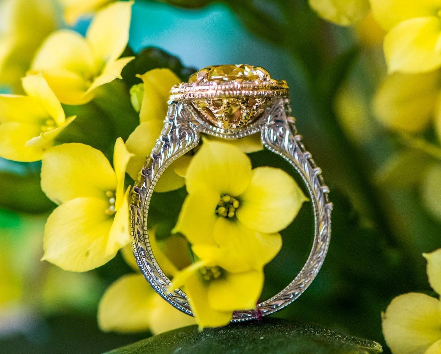 Diamond Earrings — Burleson, TX — Southern Gem Fine Jewelry