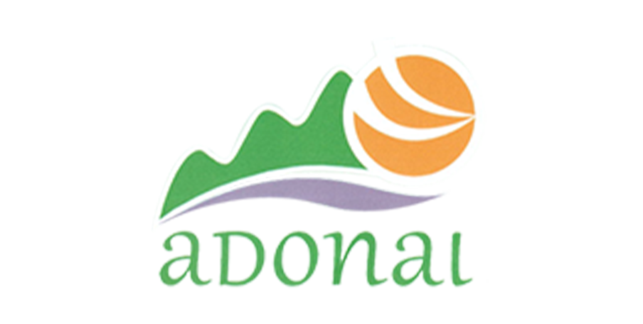 Adoni