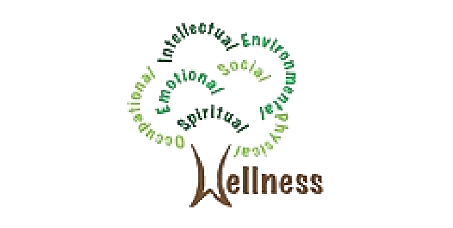 The Practice of Health and Wellness