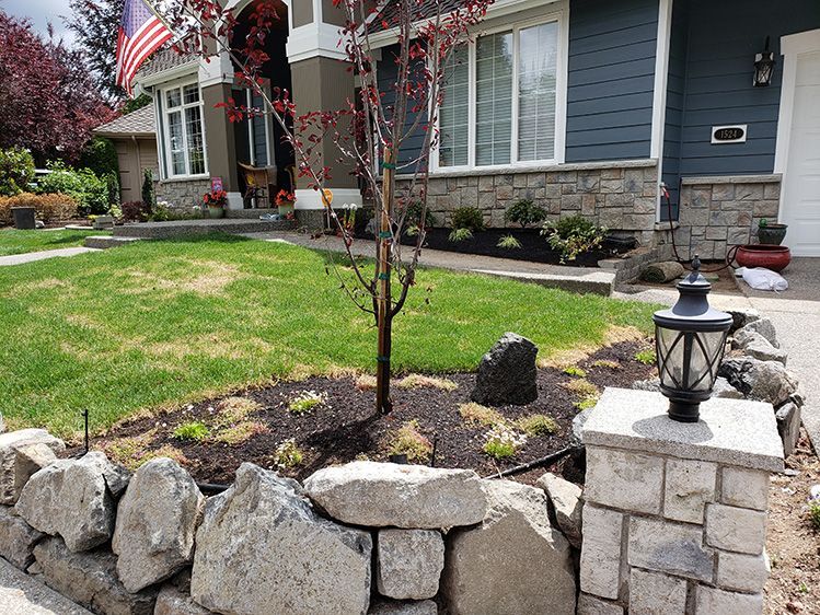 A house with a stone wall and a tree in front of it.