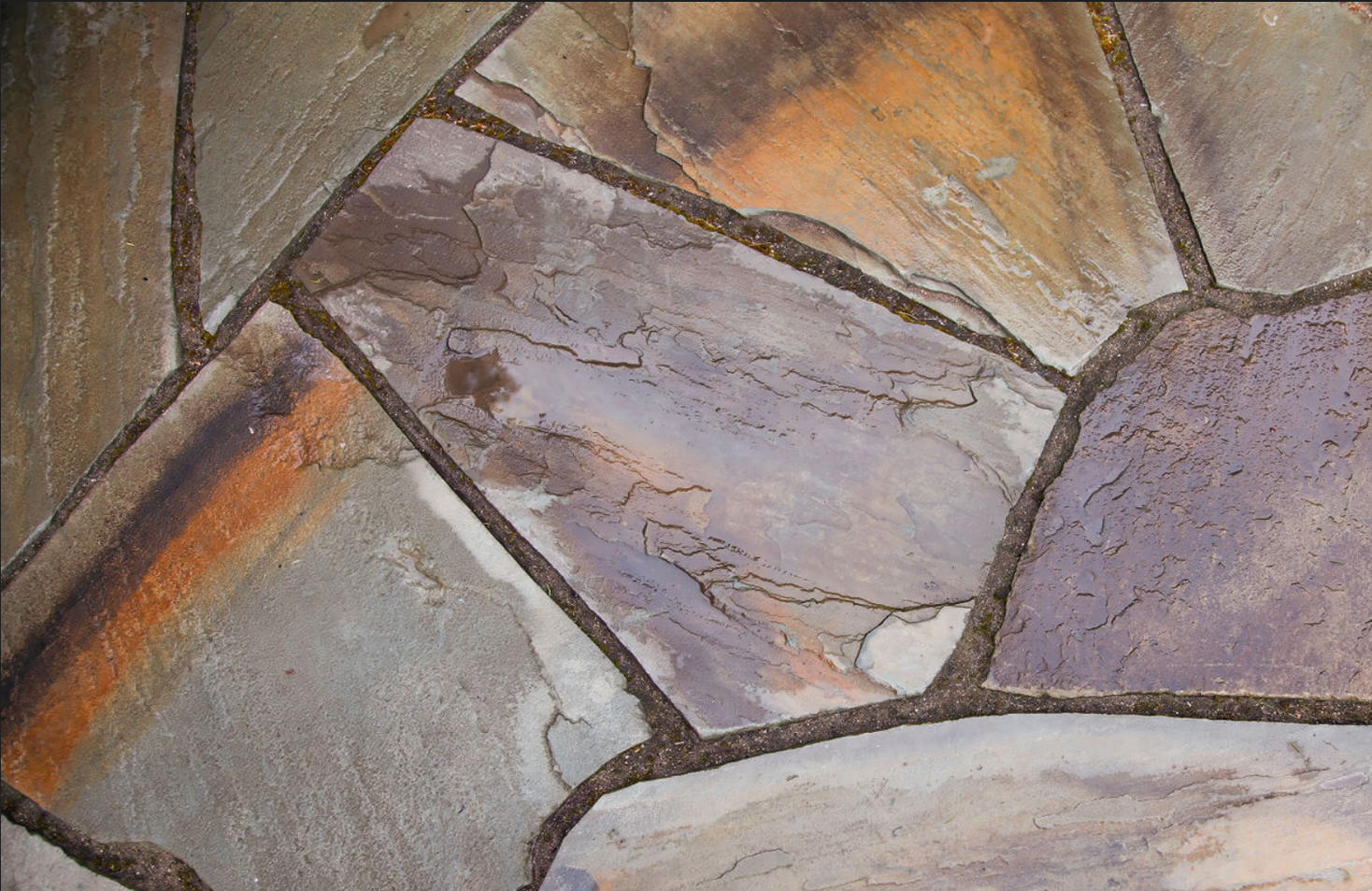 A close up of a patio done by Kimberley Martin