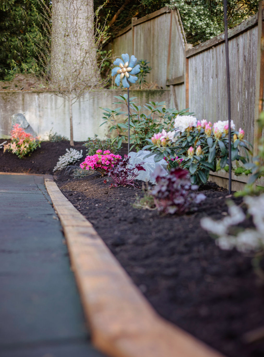 A garden with flowers and a wooden fence in the background.