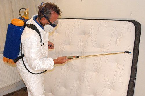 Bed Bug Heat Treatment Los Angeles Topclasspestexterminator