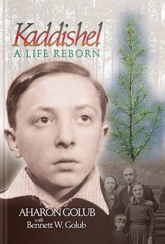 Book cover for