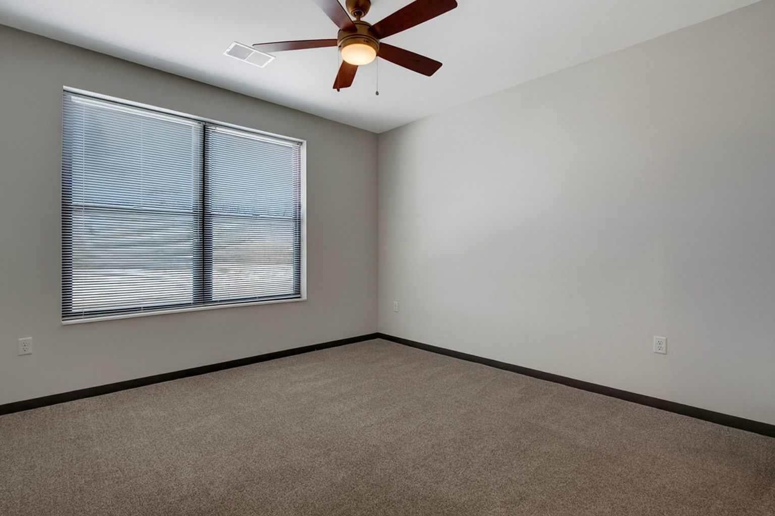 Empty carpeted bedroom with gray walls, a ceiling fan, and a window with blinds.